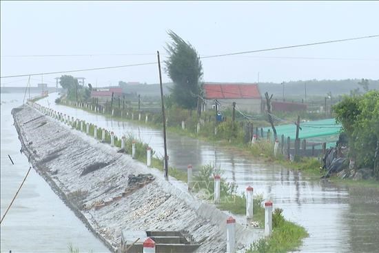 Bão số 1: Mưa lớn gây ngập 22.500 ha lúa và hoa màu