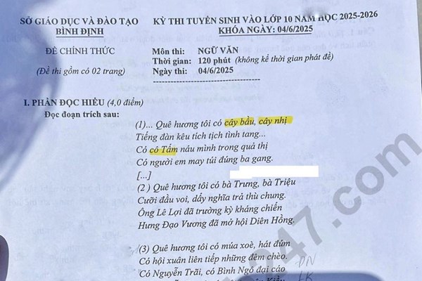 Đề thi và đáp án vào lớp 10 năm 2025 môn Văn tại Bình Định