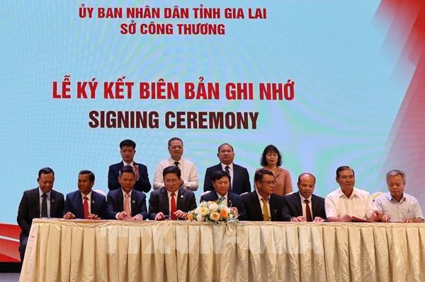 Gia Lai: Kết nối giao thương xuất khẩu nông sản sang Nhật Bản và ASEAN