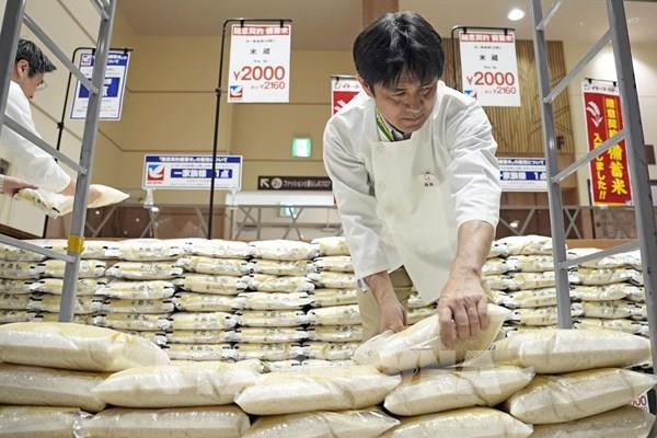 Nhật Bản trước ngã ba đường về an ninh lương thực -  Bài 1: Đột phá giúp giá gạo dự trữ giảm mạnh