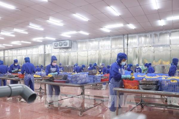 Doanh nghiệp Bến Tre sắp “dễ thở”: 30% điều kiện kinh doanh bị xóa bỏ