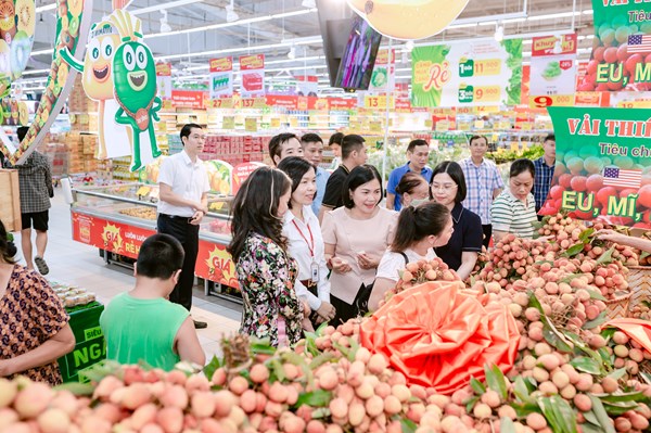 Vải thiều Thanh Hà chính thức lên kệ chuỗi bán lẻ Central Retail