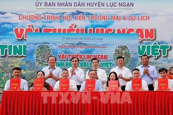 Nhiều hoạt động xúc tiến tiêu thụ vải thiều huyện Lục Ngạn 2025