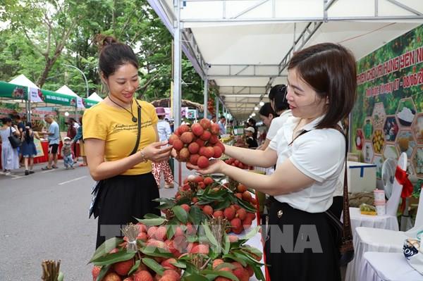 Khai mạc Phiên chợ vải Hưng Yên năm 2025