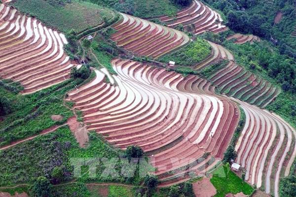 Ruộng bậc thang mùa nước đổ ở vùng cao Bắc Yên