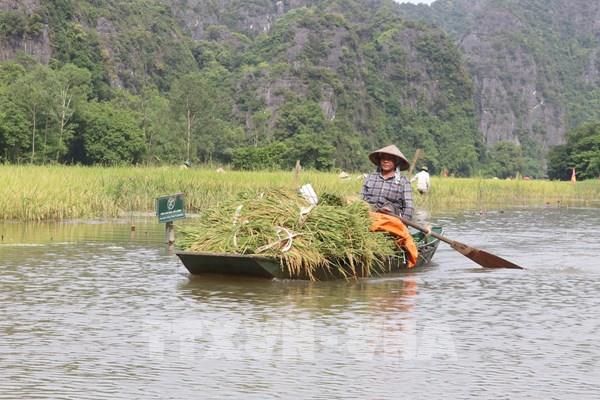 129 đơn vị hành chính cấp xã của Ninh Bình sau sắp xếp, hợp nhất.
