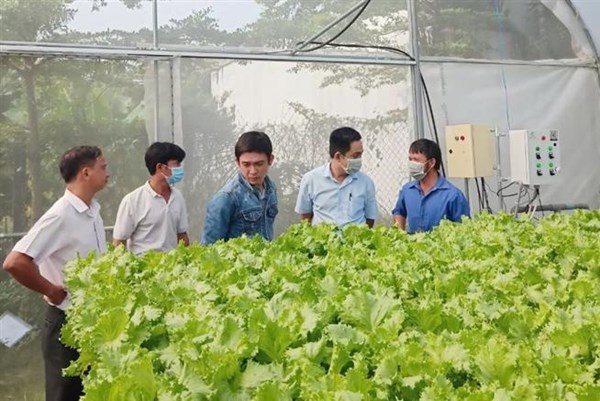 Kỹ sư trẻ và hành trình hiện thực hóa giấc mơ nông nghiệp số