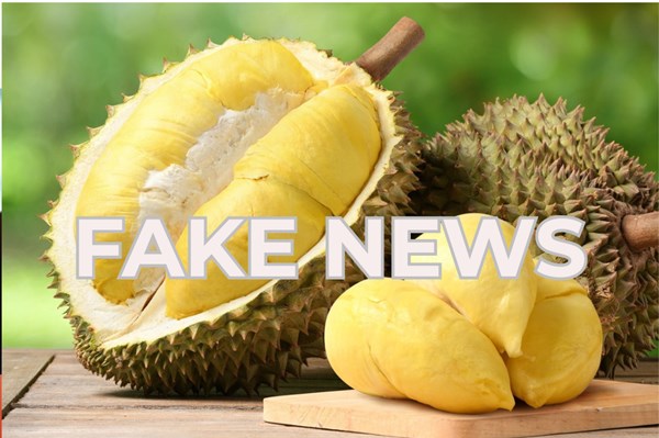 Xử phạt hành chính người đăng tin thất thiệt về sầu riêng