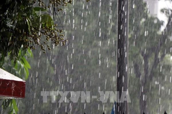 Dự báo thời tiết hôm nay 10/6: Hà Nội mưa rào và dông