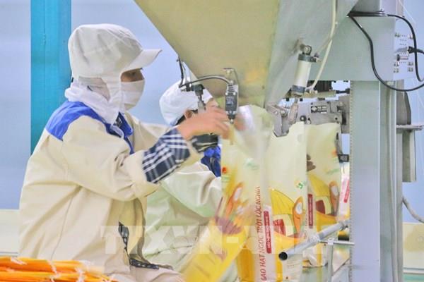 Thị trường nông sản: Giao dịch trầm lắng, nguồn cung cao vẫn là sức ép gạo Việt tuần qua