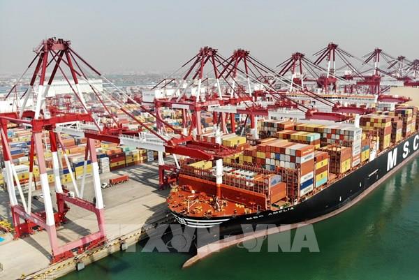 Trung Quốc cho phép nhập khẩu bã cải dầu và bã đậu nành từ Uruguay