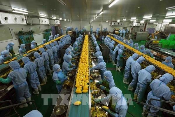 Đại sứ Trần Văn Tuấn: Việt Nam mong muốn đẩy mạnh hợp tác phát triển khoa học công nghệ với Thuỵ Điển