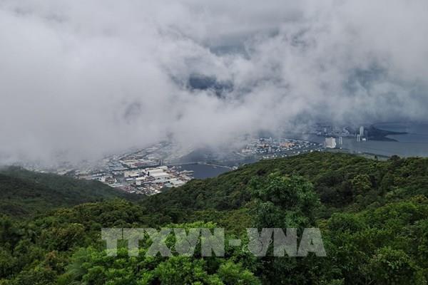 Rừng trong lòng phố - Bài 1: Bảo tàng sinh thái sống
