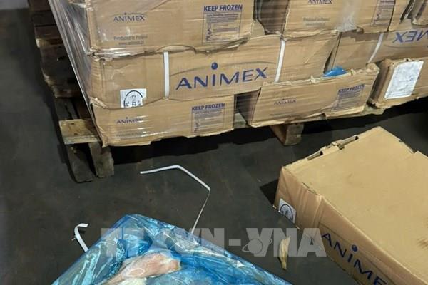 Tp. Hồ Chí Minh phát hiện gần 70 tấn thịt và nội tạng không rõ nguồn gốc