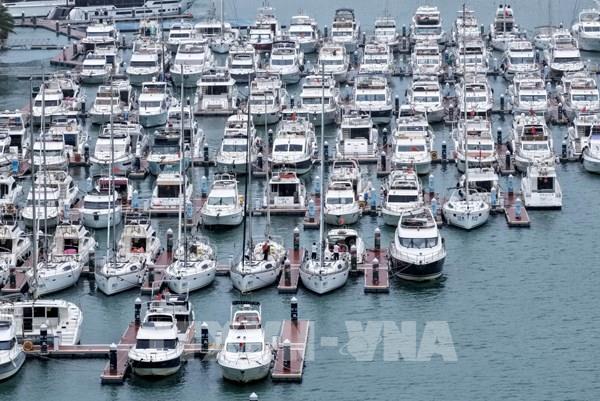 Trung Quốc tăng cường các biện pháp ứng phó với bão Wutip