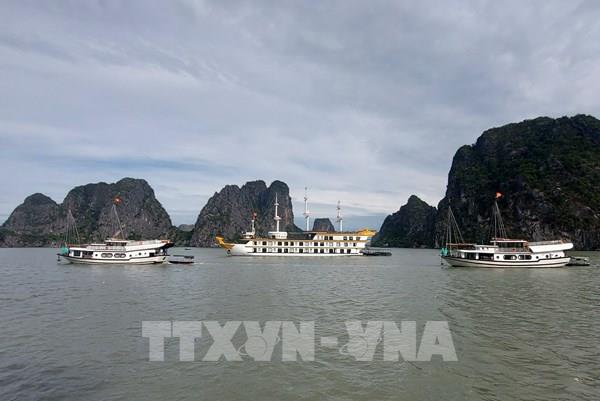 Quảng Ninh hạn chế hoạt động đường thủy do ảnh hưởng bão số 1