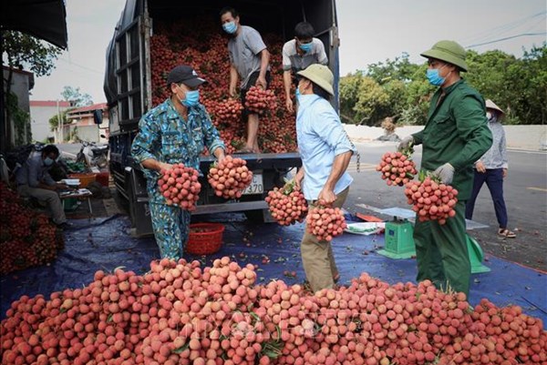 “Tuần lễ vải thiều Lục Ngạn” tại các khu công nghiệp Bắc Giang