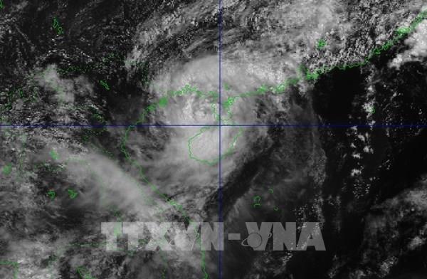 Bão số 1 đổi hướng, sức gió giật cấp 13