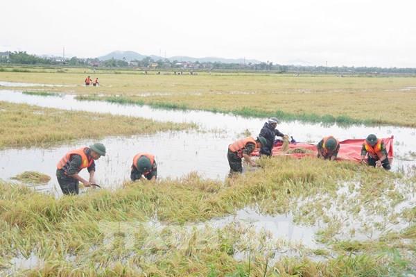Bão số 1: Mưa lũ làm 7 người chết và mất tích với nhiều thiệt hại tại các địa phương
