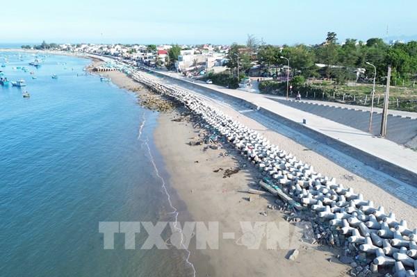 Ninh Thuận dựng “lá chắn” trước biến đổi khí hậu