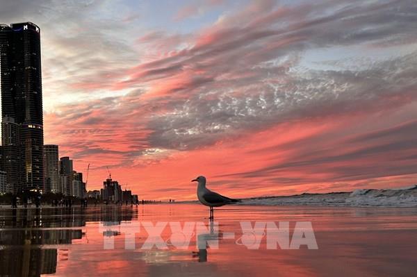 Vẻ đẹp mùa Đông “xứ Chuột túi”