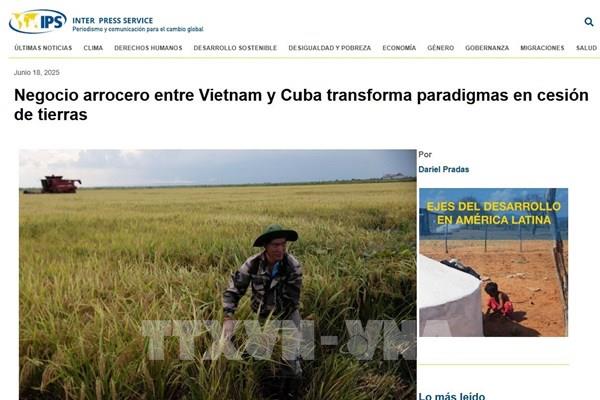 Hợp tác Việt Nam-Cuba tạo bước đột phá trong sản xuất lúa gạo
