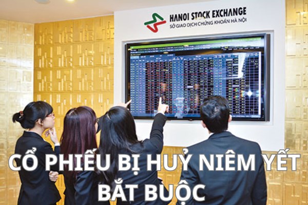 HNX hủy niêm yết bắt buộc cổ phiếu SPI, nhận hồ sơ đăng ký niêm yết cổ phiếu QNT