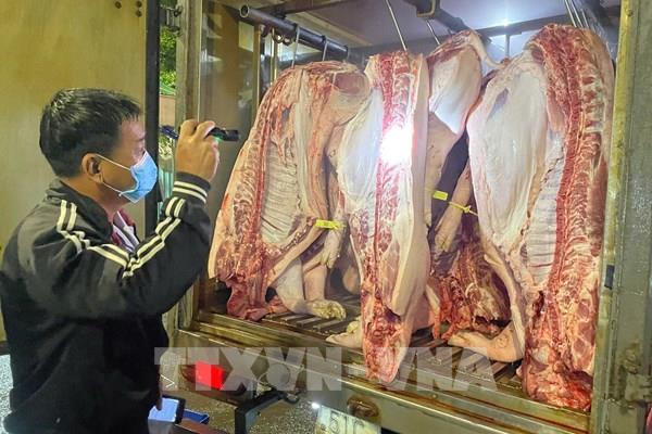 Phát hiện, xử lý 14 trường hợp vi phạm kiểm dịch, an toàn thực phẩm