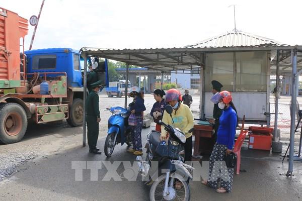 Kiểm soát chặt giống vật nuôi nhập lậu từ nước ngoài