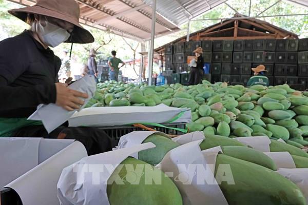 Nhiều cơ hội cho nông sản Việt ra thị trường Halal 