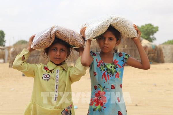 LHQ: Hơn 5 triệu người tại miền Nam Yemen có nguy cơ mất an ninh lương thực