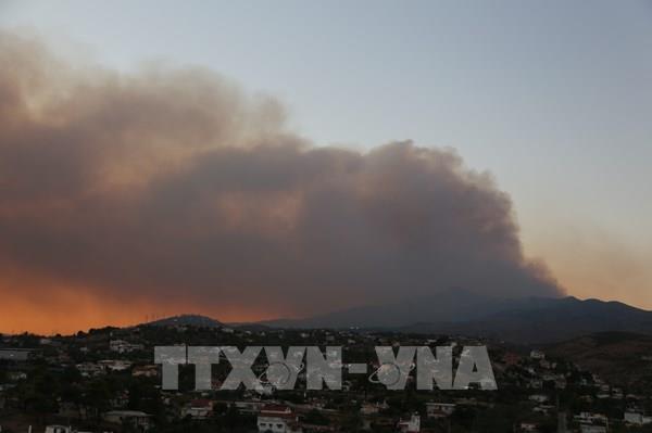 Cháy rừng quy mô lớn tại Hy Lạp