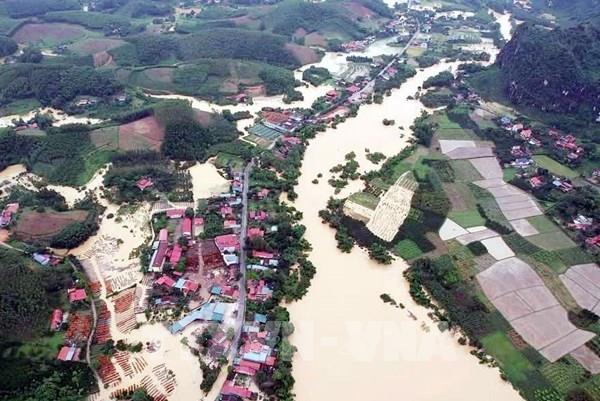 Mưa lớn gây ngập úng gần 700 ha lúa và hoa màu tại các tỉnh phía Bắc