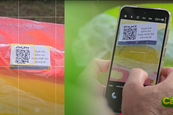 Phú Mỹ Fer-Right giúp tối ưu hiệu quả canh tác và bảo vệ môi trường 