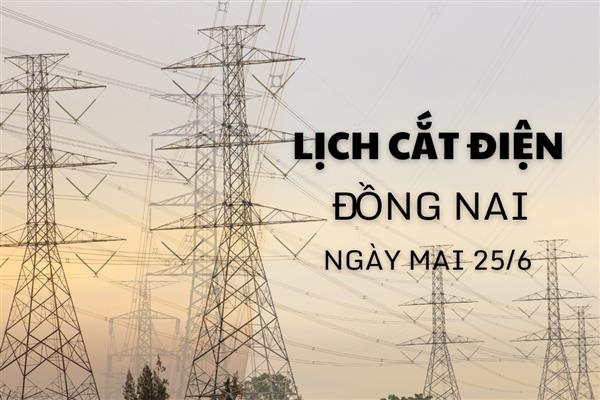 Lịch cắt điện Đồng Nai ngày mai 25/6 cập nhật mới nhất