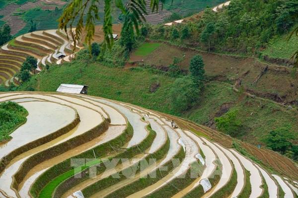  Lung linh ruộng bậc thang mùa nước đổ ở Mù Cang Chải
