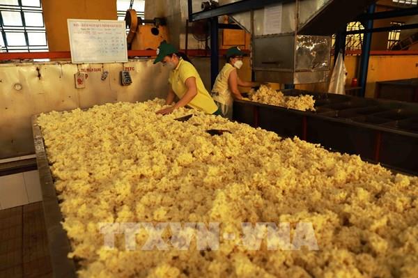 Để xuất khẩu cao su đạt 3,3 tỷ USD