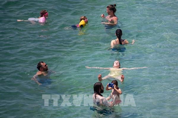 Các nước Nam Âu "quay cuồng" vì cháy rừng do nắng nóng