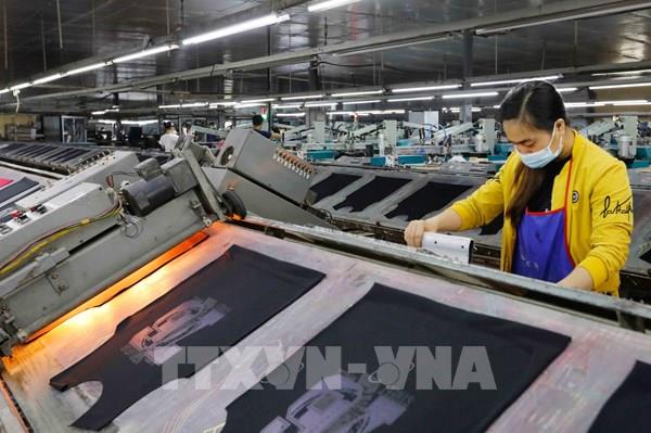 Kinh tế Việt Nam qua góc nhìn quốc tế: Phục hồi vững vàng giữa thách thức toàn cầu