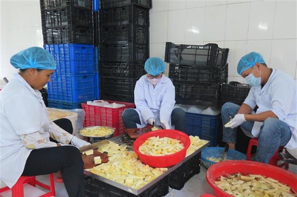 Long An: Hỗ trợ doanh nghiệp nâng cao năng lực số hóa