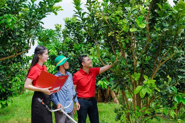 Agribank - Doanh nghiệp ESG Việt Nam xanh 2025