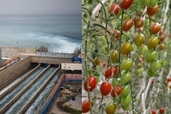 Khử mặn nước biển để cứu nông nghiệp giữa hạn hán lịch sử