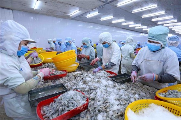 Bộ Công Thương ban hành bộ thủ tục hành chính mới trong lĩnh vực xuất nhập khẩu