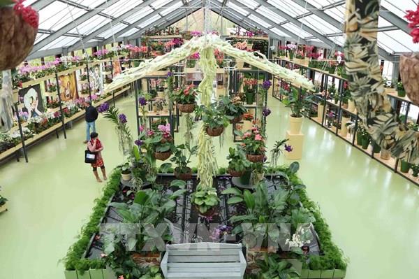 Phấn hoa "cao bất thường" tại nhiều khu vực châu Âu