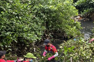 Phân quyền trong lĩnh vực môi trường cho địa phương 