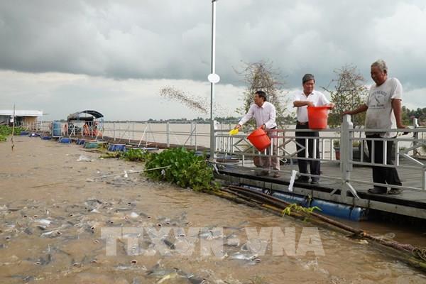 Đồng Tháp giữ “lộc trời” giữa dòng sông Tiền