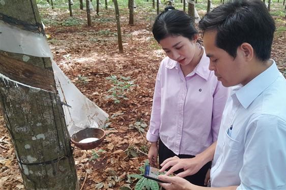 Chàng trai dân tộc Nùng tiên phong thực hiện số hóa, kiến tạo tương lai