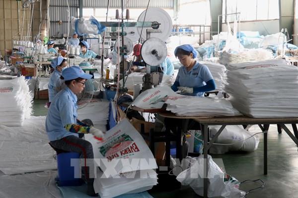 Động lực mới, kỳ vọng lớn từ An Giang nửa cuối năm 2025