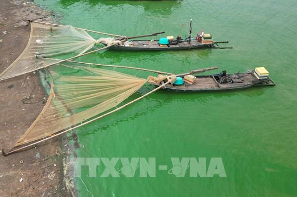 Nước hồ Trị An đổi màu do tảo xanh lan rộng