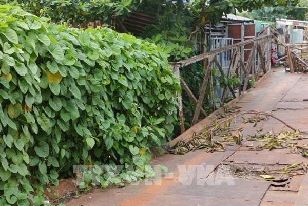 Cần Thơ: Cầu sụp lún chờ khắc phục, dân thấp thỏm mỗi ngày